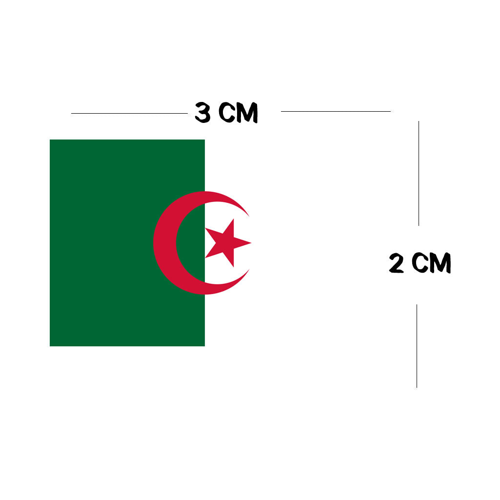 Set of 4 x Algeria Flag Iron on Screen Print for fabric Machine Washable Transfer Algerian (Copy)