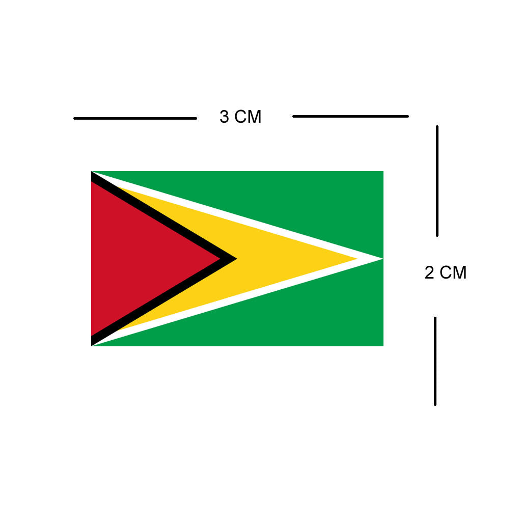 Set of 4 Guyana Flag Iron on Screen Print Transfers for Fabrics Machine Washable
