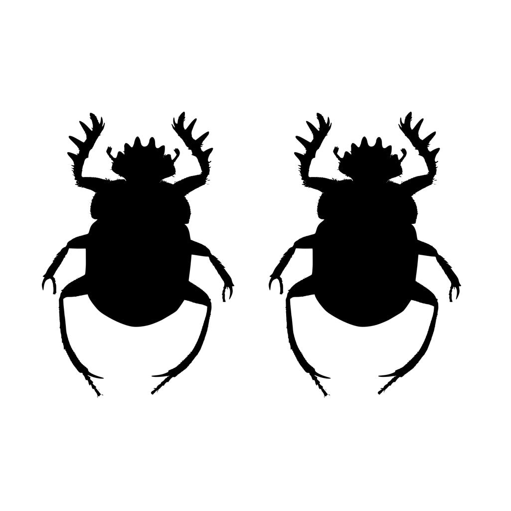 2 x Scarab beetle Iron on Transfer for fabric Egypt symbol