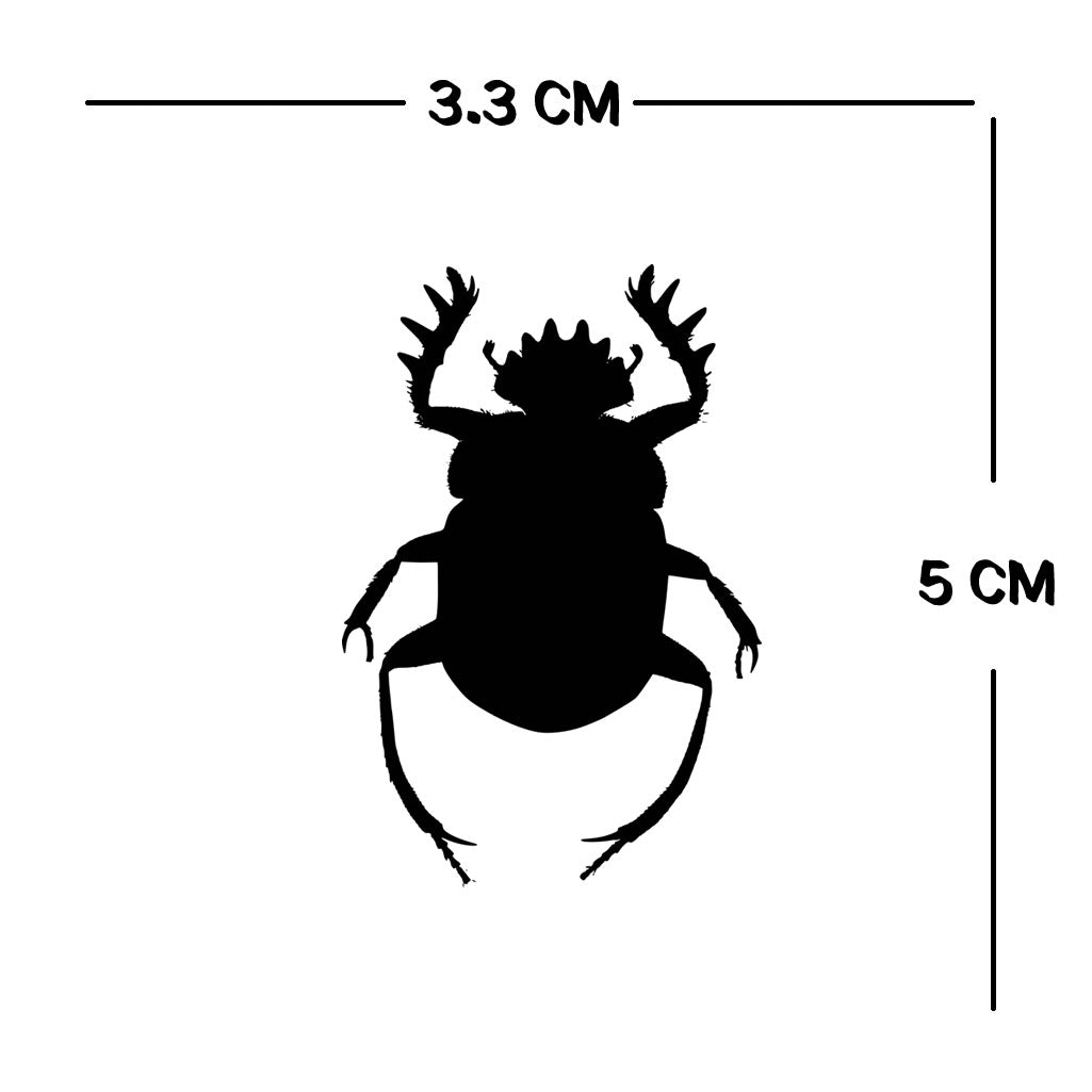 2 x Scarab beetle Iron on Transfer for fabric Egypt symbol