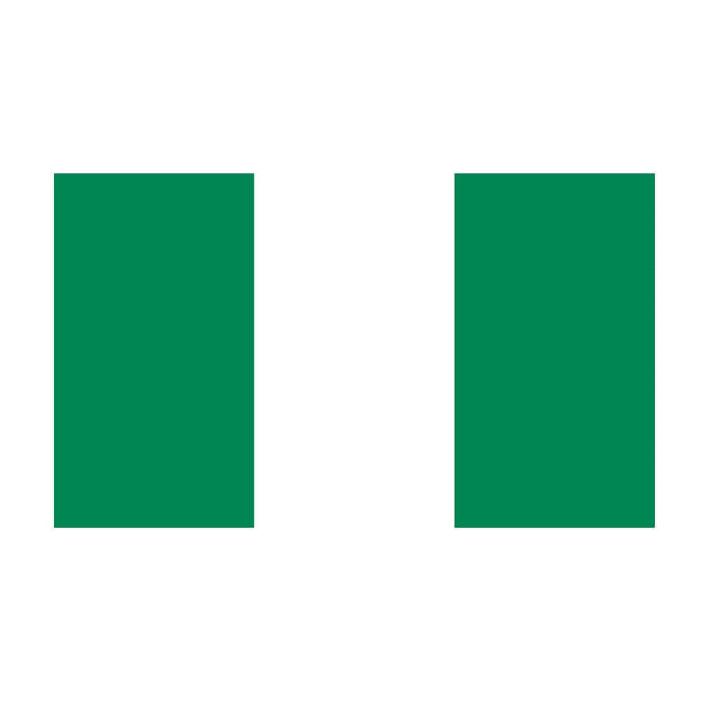 Set of 2 Nigeria Flag Iron on Screen Print Transfers for Fabrics Machine Washable Nigerian Flag patch
