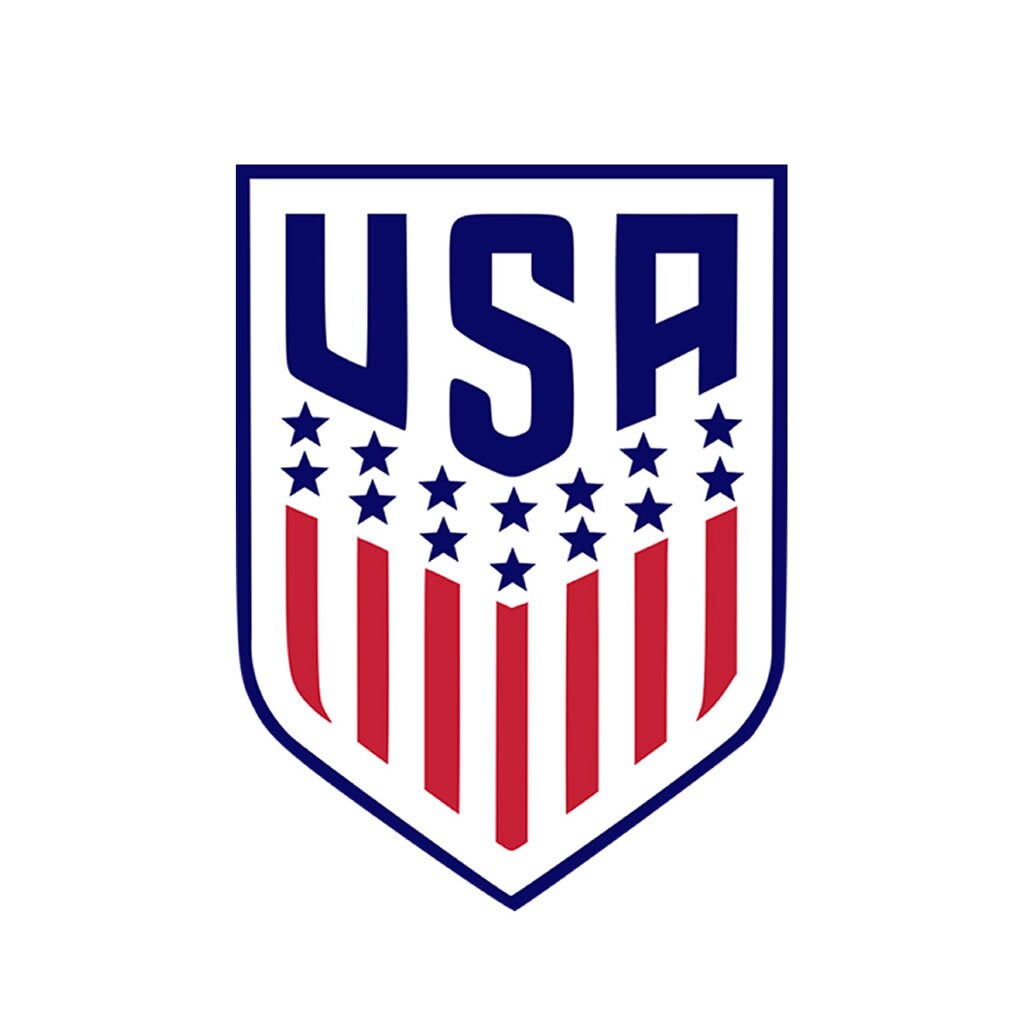Set of 2 United States of America Flag Crest iron on Transfers
