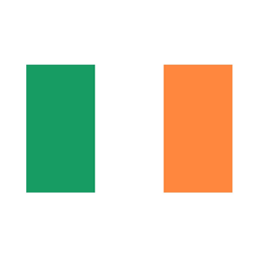 Set of 2 IRISH Flag Iron on Screen Print Transfers for Fabrics Machine Washable IRELAND patch
