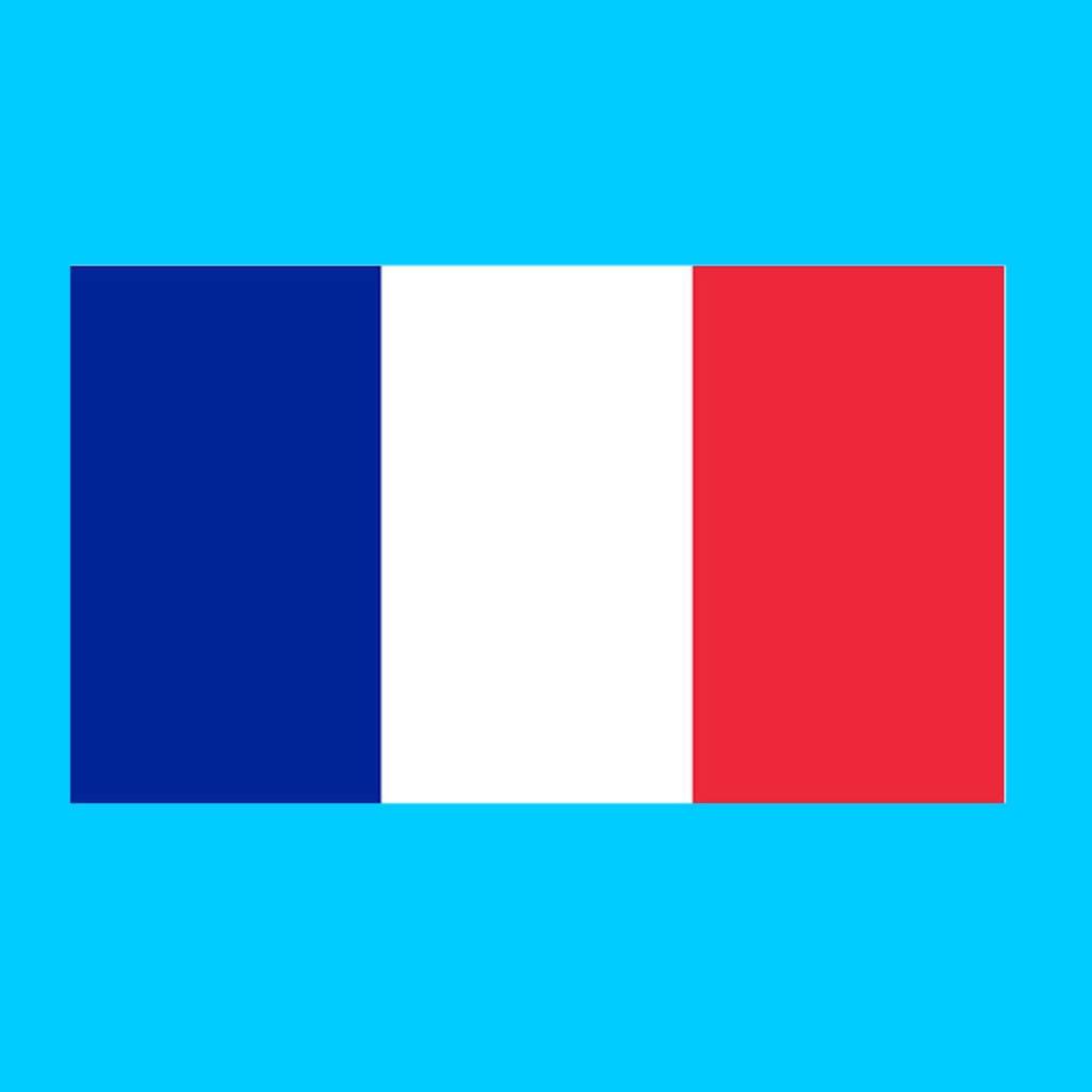 Set of 2 France Flag Iron on Screen Print Transfers for Fabrics Machine Washable French Flag patch