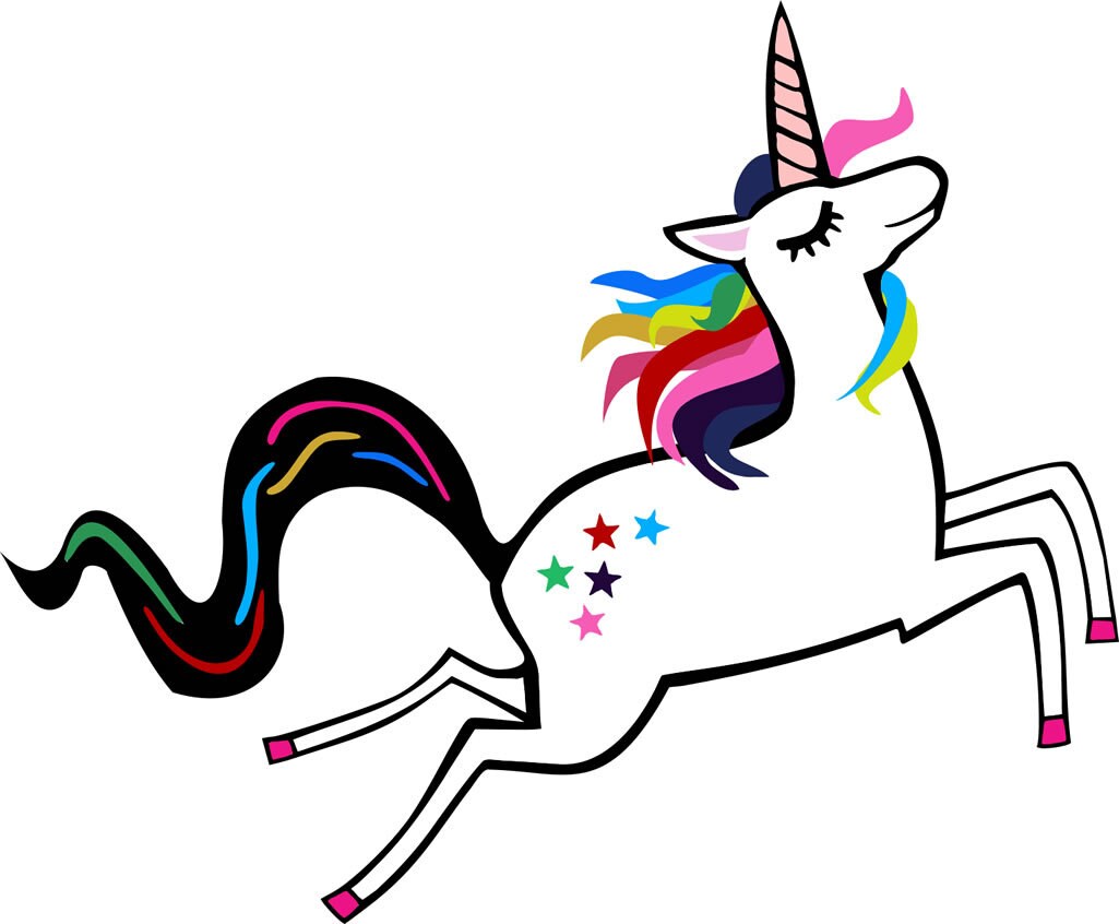 Set of 2 Unicorn DIY Iron on Screen Print Transfer for fabrics Machine Washable badge
