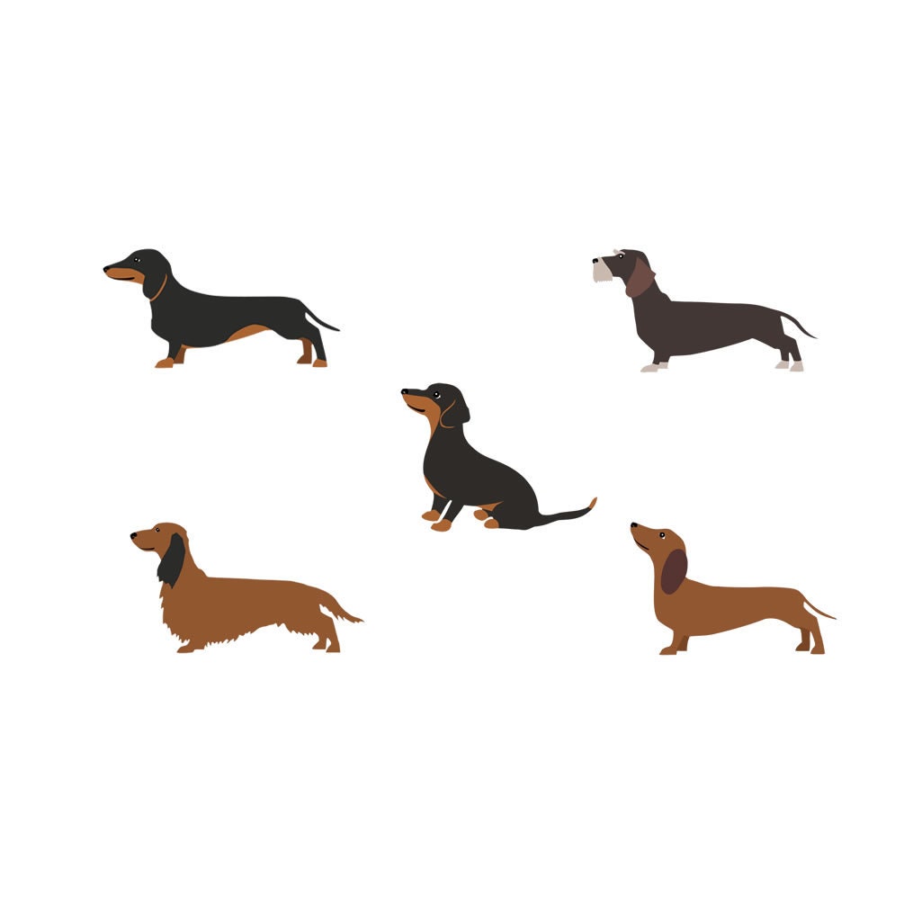 Set of 5 dachshund Iron on Screen Print Transfers for Fabrics Machine Washable Dog Lover patch