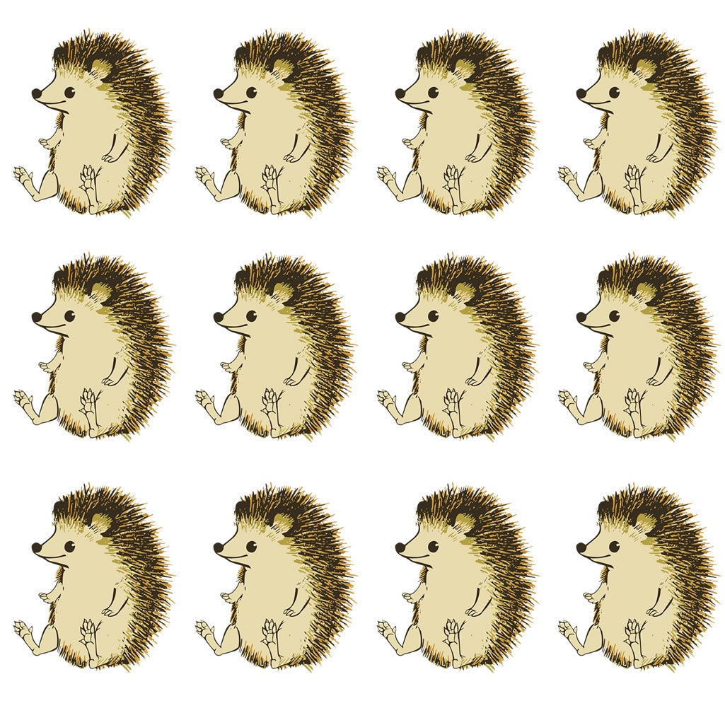 Set of 5 hedgehog Iron on Transfers