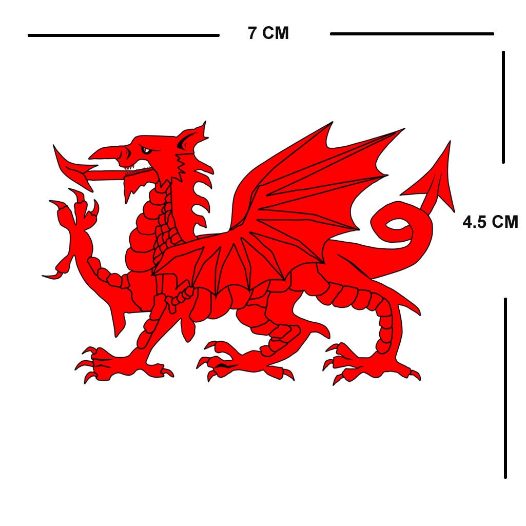 Set of 2 x Welsh Dragon Iron on Transfer