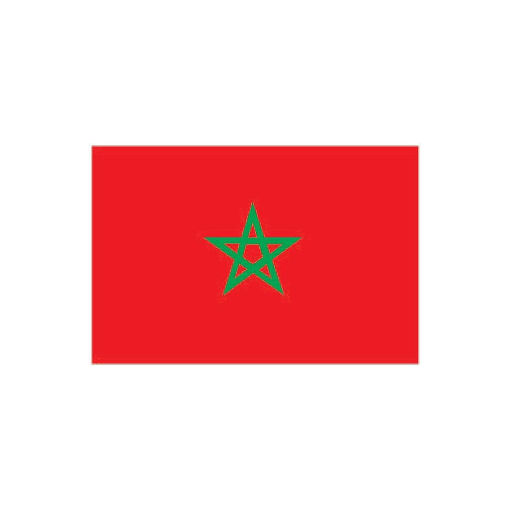 Set of 2 x Moroccan FLAG Iron on Screen Print Transfers for Fabrics Machine Washable patch Morocco flag