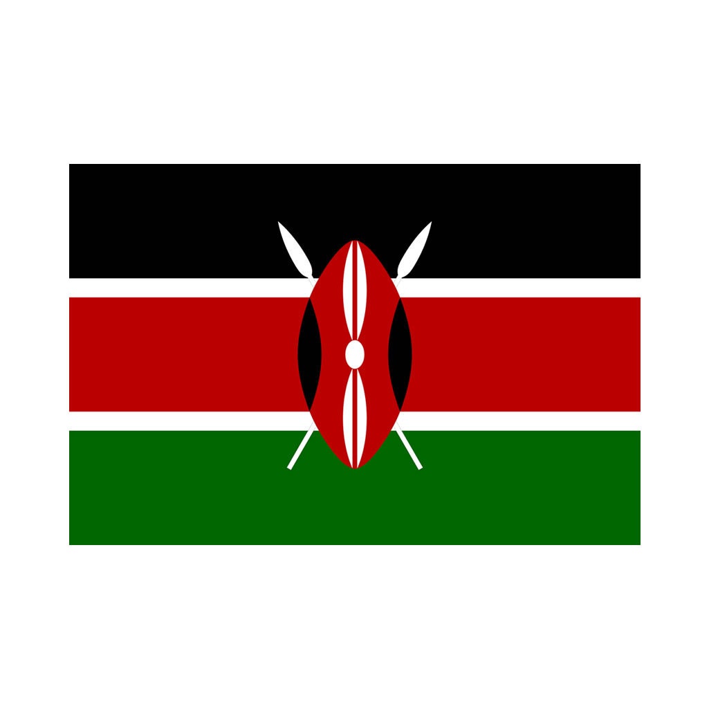 Set of 2 Kenya Flag Iron on Transfers