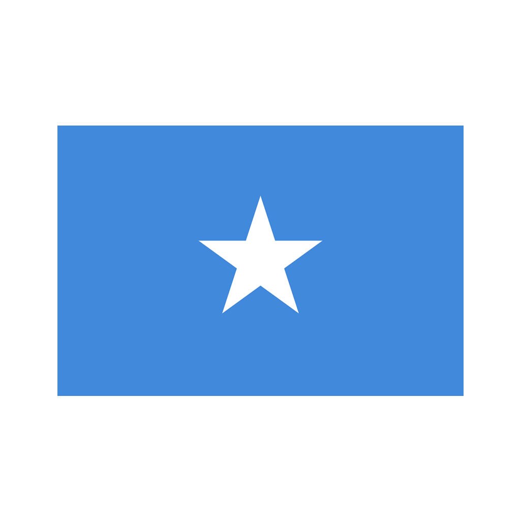 Set of 2 x Somalian Flag Iron on Screen Print Transfers for Fabrics Machine Washable Somali Flag patch