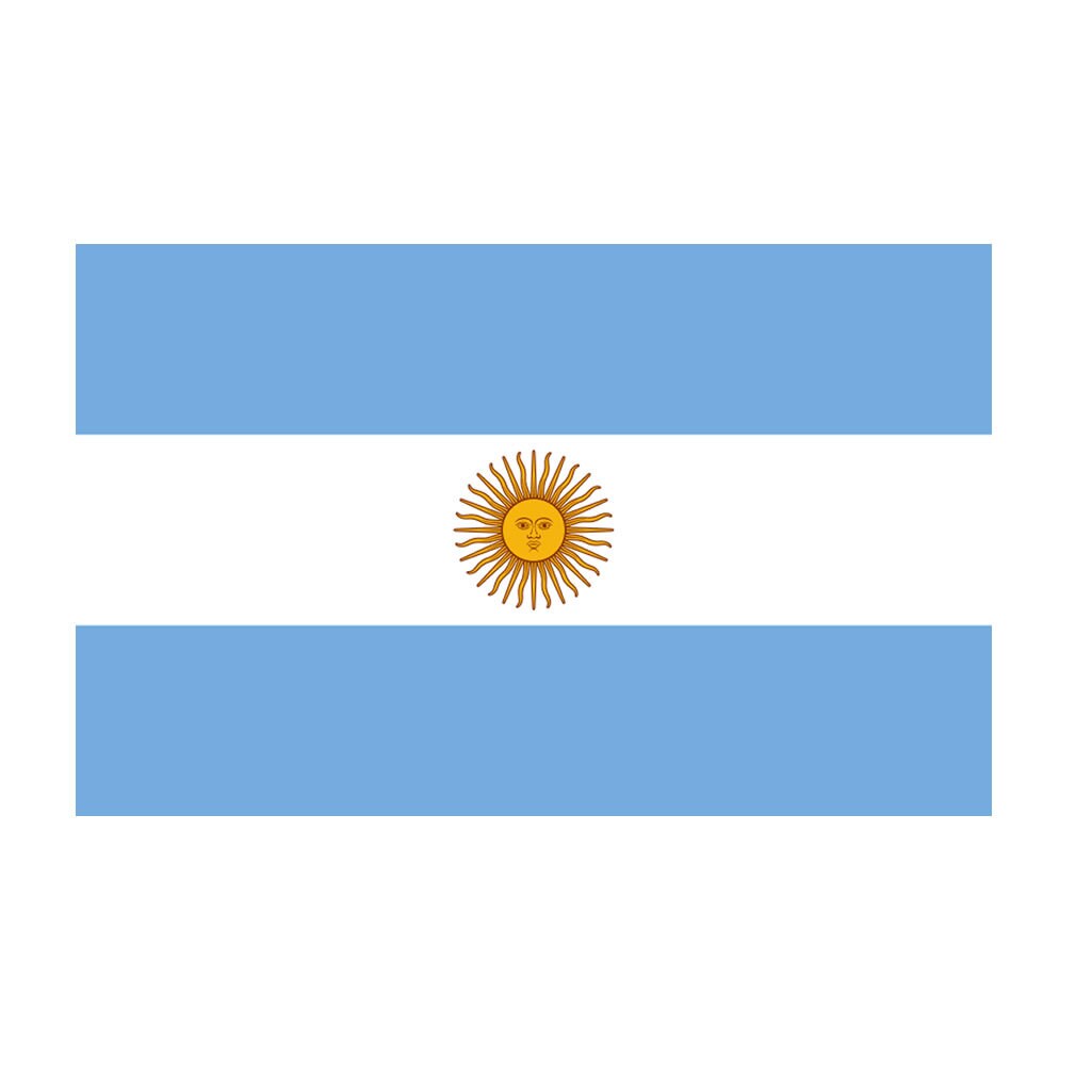 Set of 2 x Argentina Flag Iron on Screen Print for fabric Transfer Argentine Republic patch