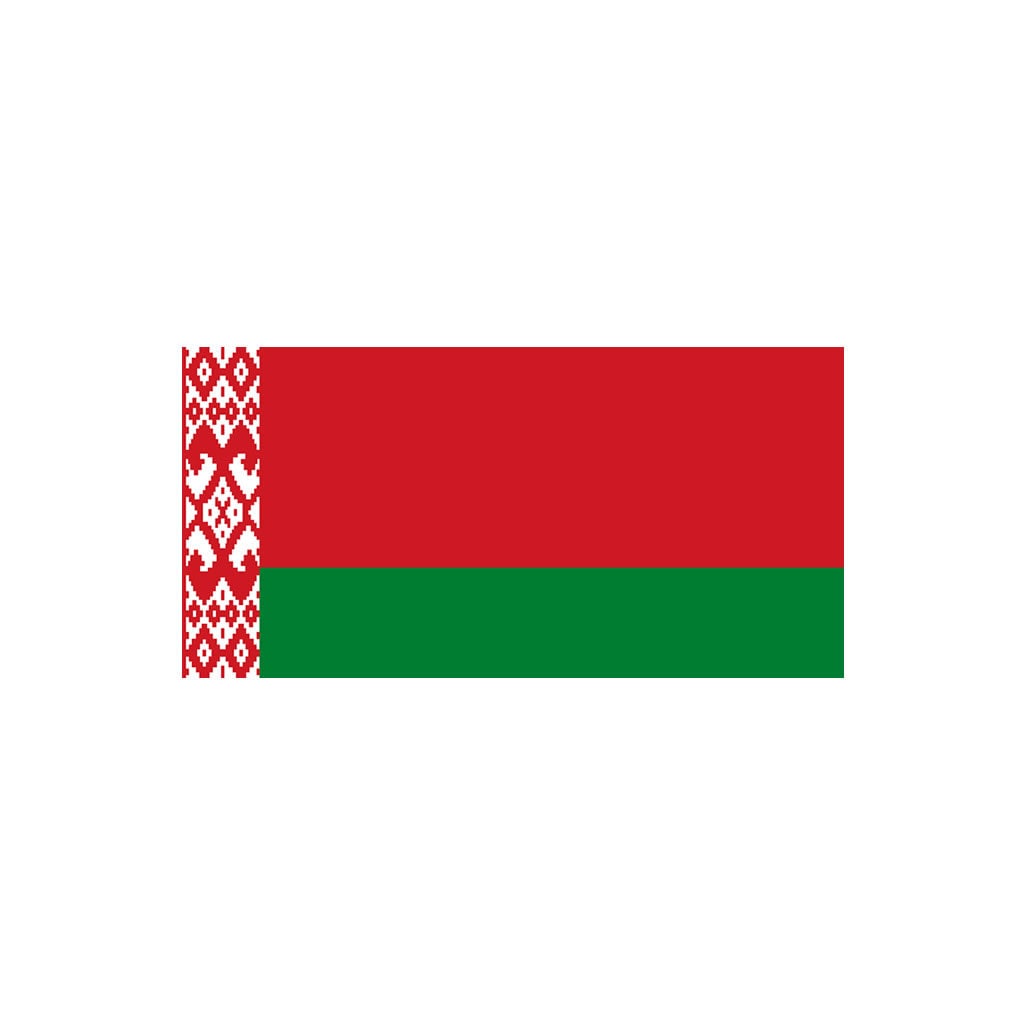 Set of 2 x Belarus Flag Iron on Screen Print Transfers for Fabrics Machine Washable Belarusian patch
