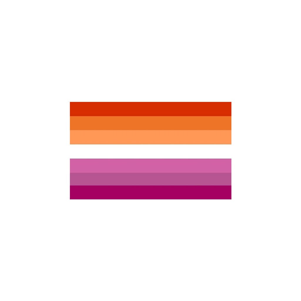 2 x Lesbian sunset Flag Iron on Screen Print Transfers for fabrics Washable LGBT