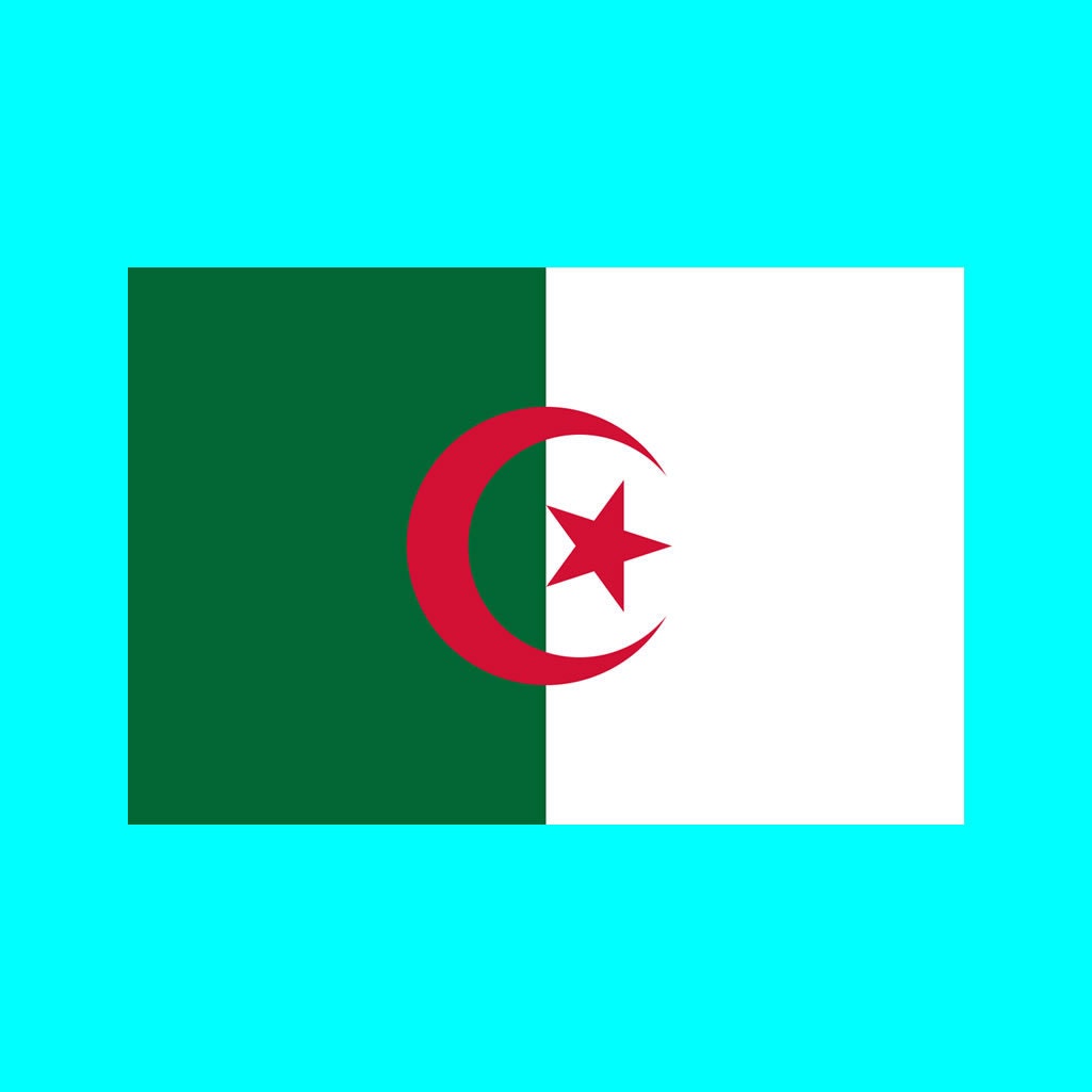 Set of 2 x Algeria Flag Iron on Screen Print for fabric Machine Washable Transfer Algerian