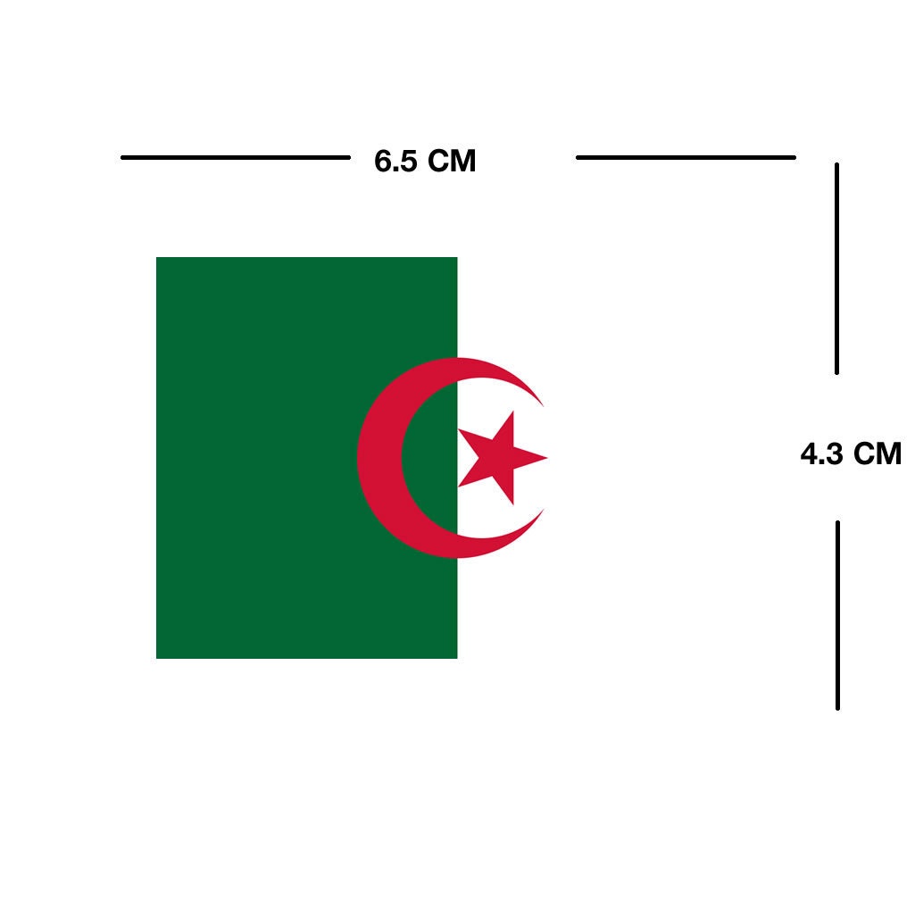 Set of 2 x Algeria Flag Iron on Screen Print for fabric Machine Washable Transfer Algerian