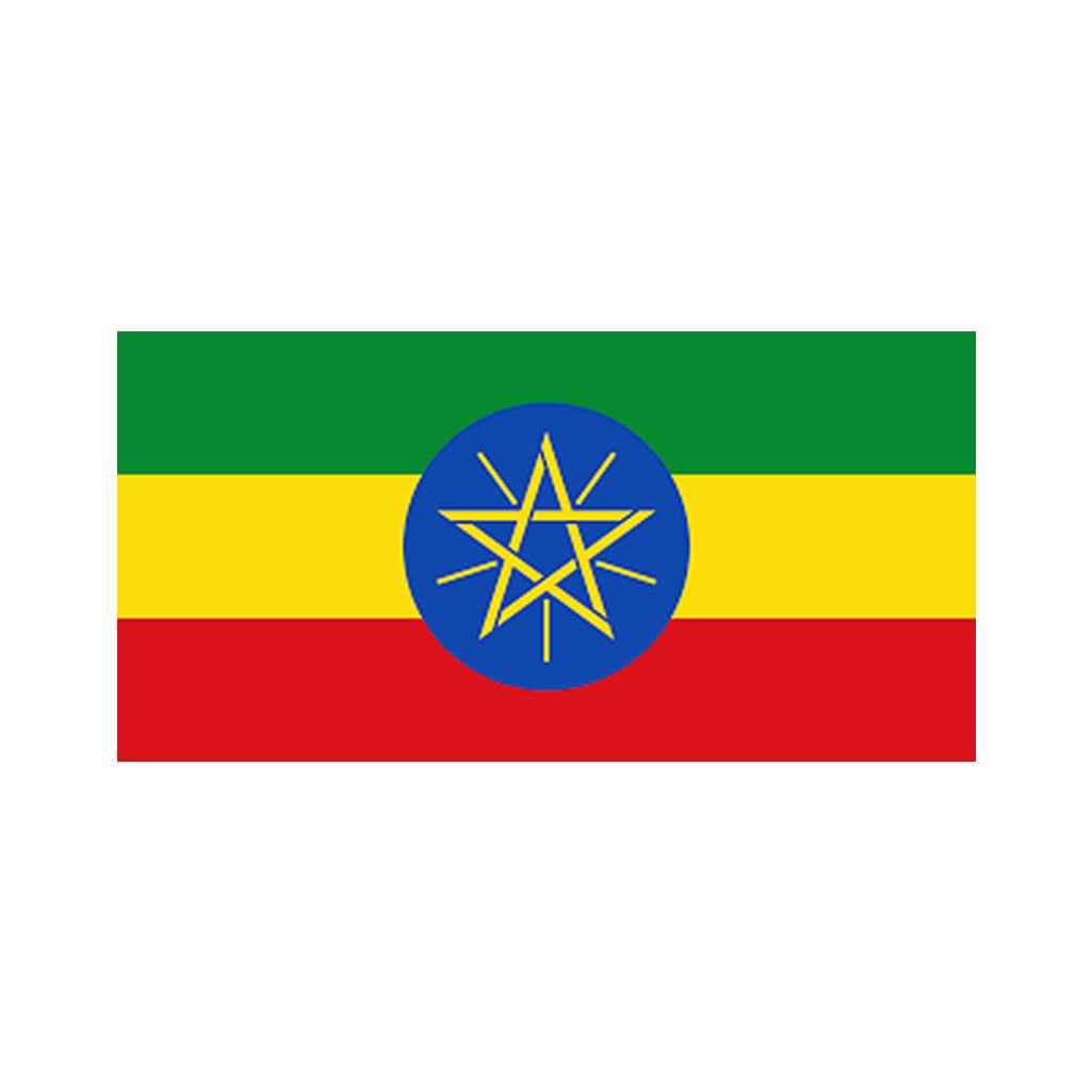 Set of 2 x Ethiopia flag Iron on Screen Print for fabric Machine Washable Transfer Ethiopian Flag