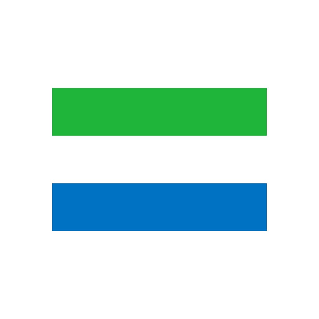 Set of 2 x Sierra Leone Flag Iron on Screen Print for fabric Machine Washable Transfer