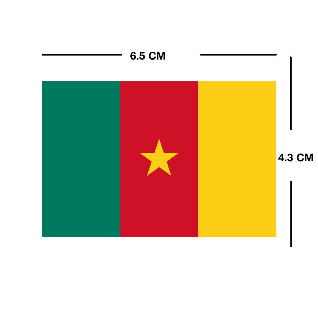 Set of 2 x Cameroon Flag Iron on Screen Print for fabric Machine Washable Transfer Cameroonian Flag