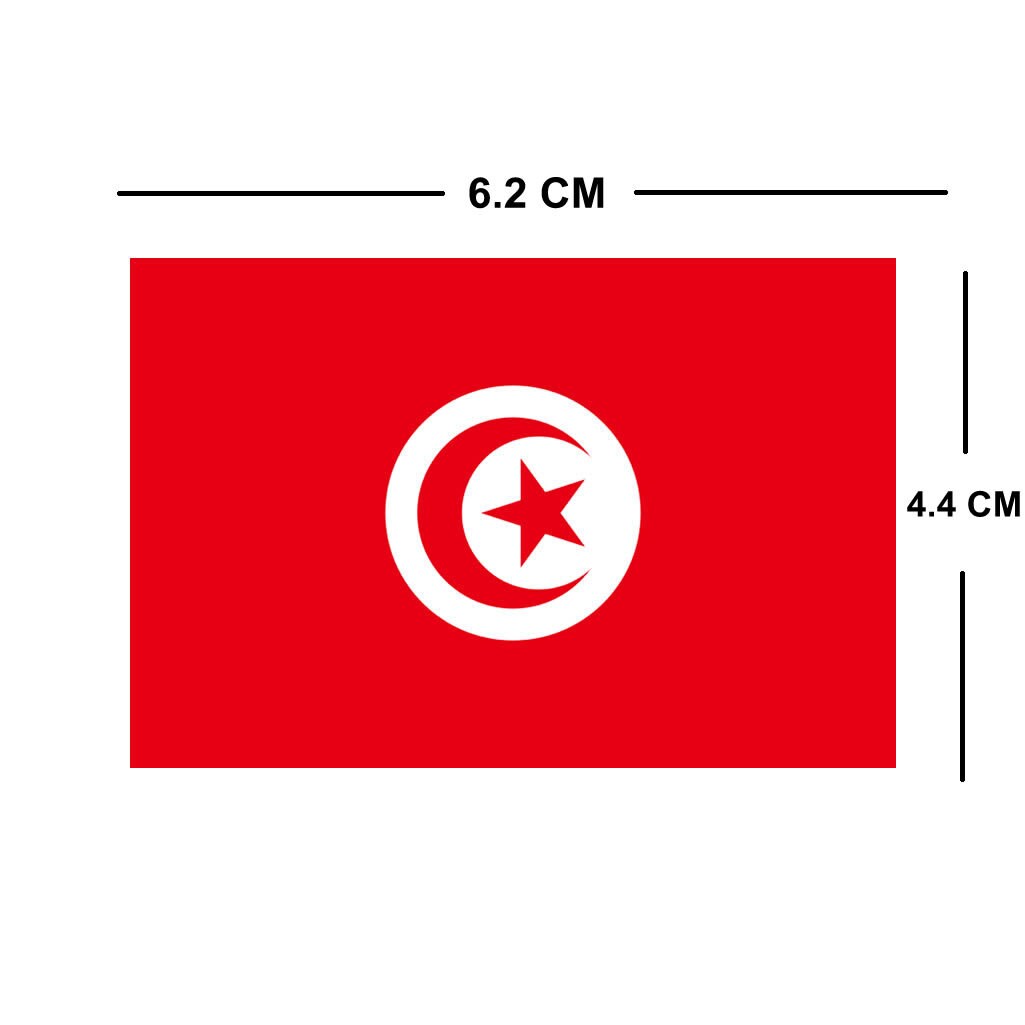 2 X Tunisia Flag IRON on Screen print transfer Patch Applique Motif Tunisian