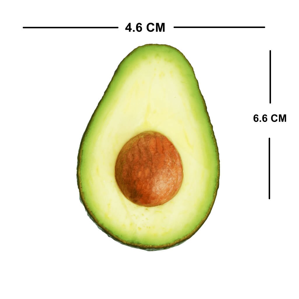 Avocado Iron on Screen print Patch Applique Motif fruit transfer