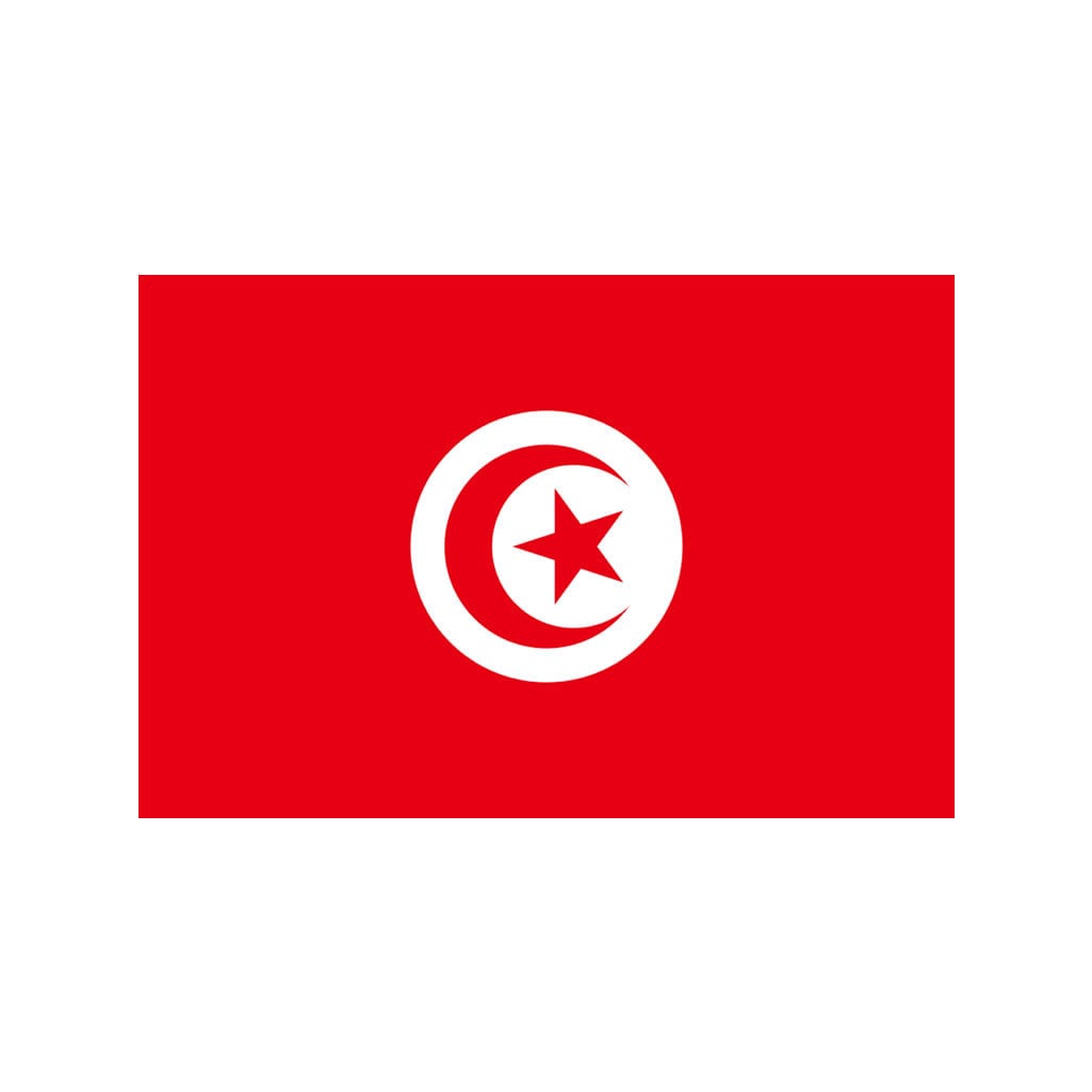 2 X Tunisia Flag IRON on Screen print transfer Patch Applique Motif Tunisian