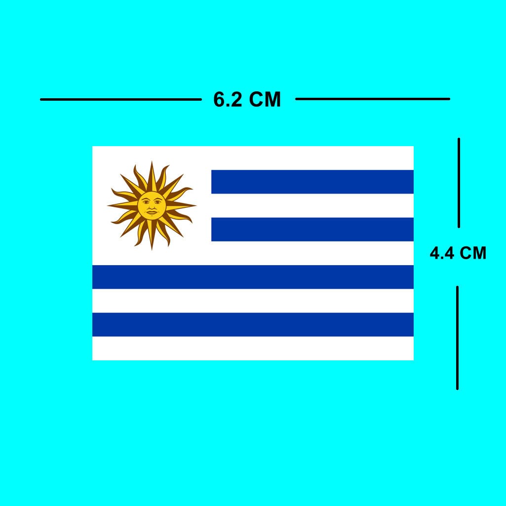 2 X Uruguay Flag IRON on Screen print transfer Patch Applique Uruguayan Team