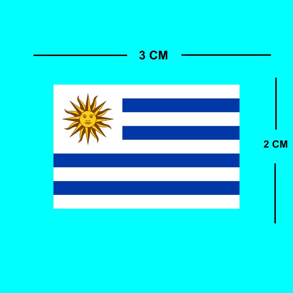 4 X Uruguay Flag IRON on Screen print transfer Patch Applique Uruguayan Team
