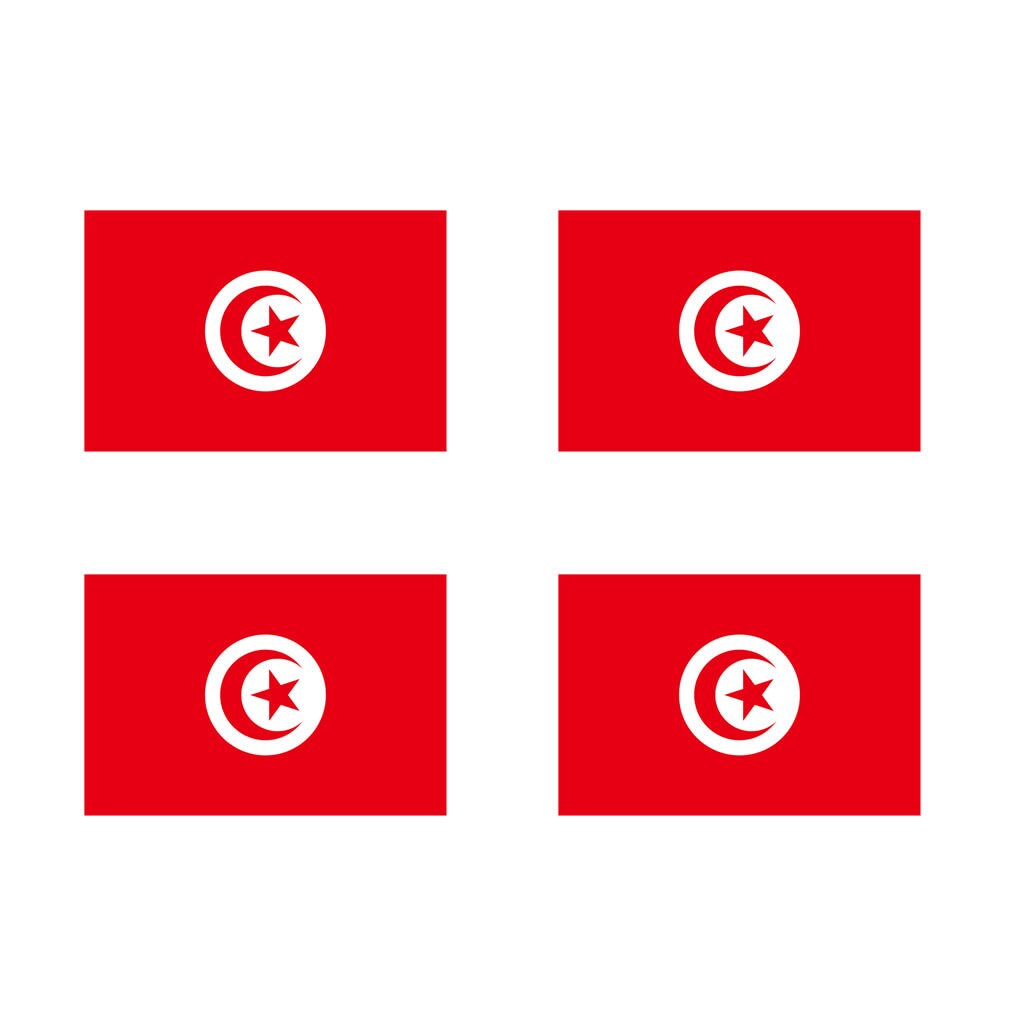 4 X Tunisia Flag IRON on Screen print transfer Patch Applique Motif Tunisian