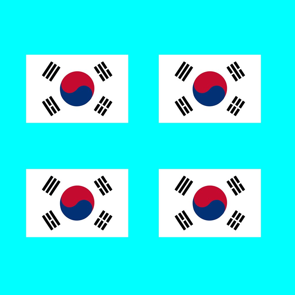 Set of 4 x Korean Flag Temporary Tattoo Waterproof Lasts 1 week Flag for country support football Korea Team