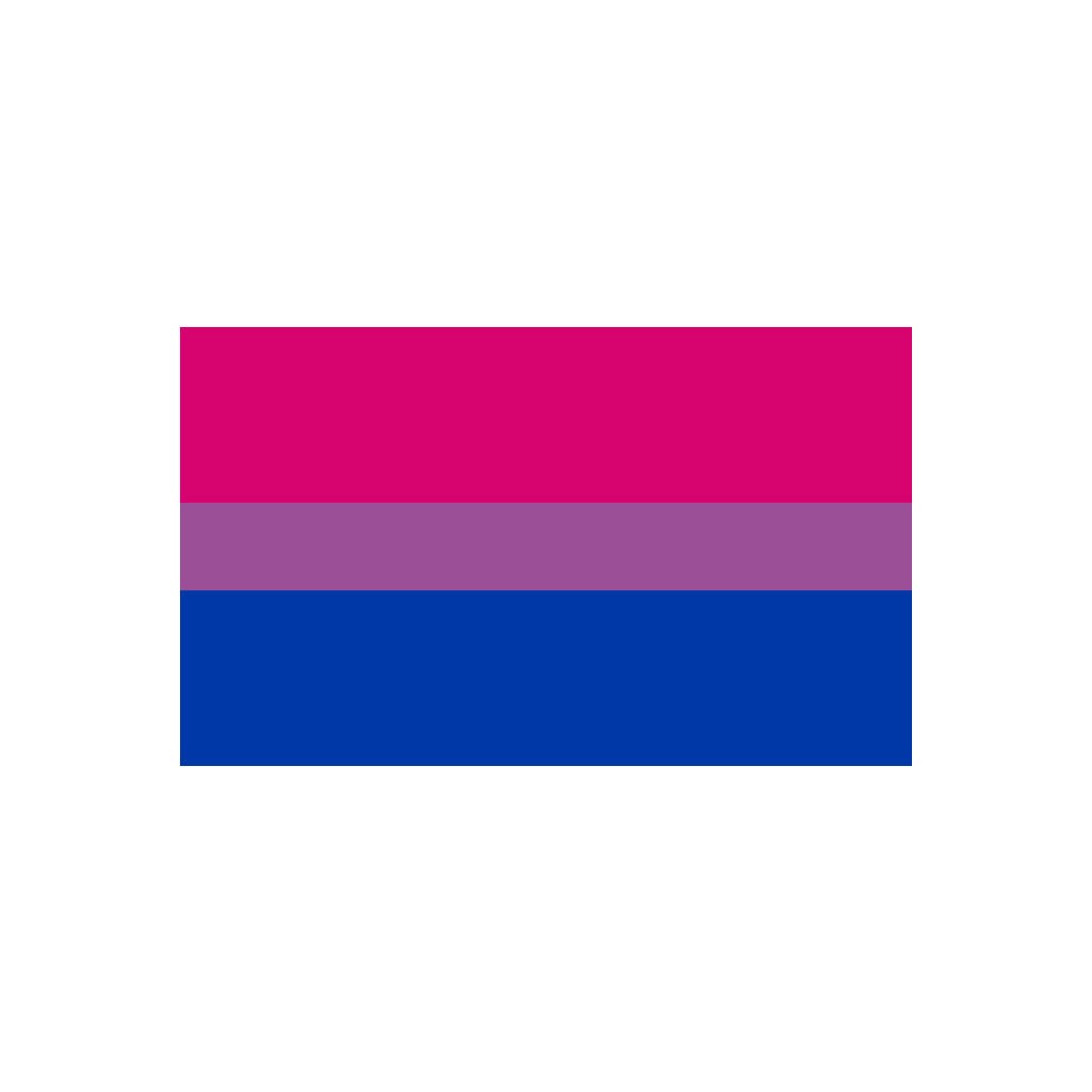Bisexual Pride Flag Iron on screen print Transfers for Fabrics appliqué / patch
