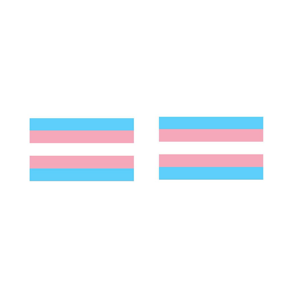 Trans Flag Iron on Screen Print Transfers for Fabrics Transgender Flag
