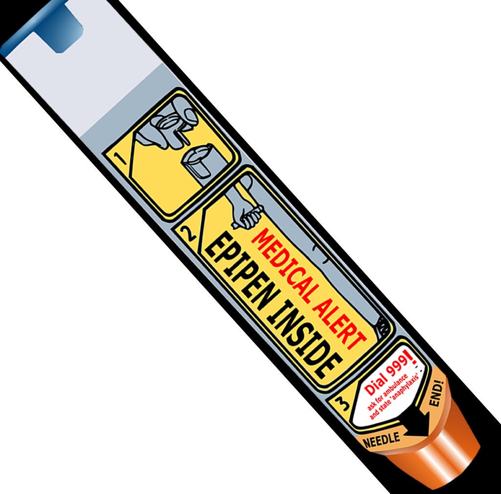 EPIPEN INSIDE Key Chain Keyring Luggage Tag EPIPEN carrier / holder