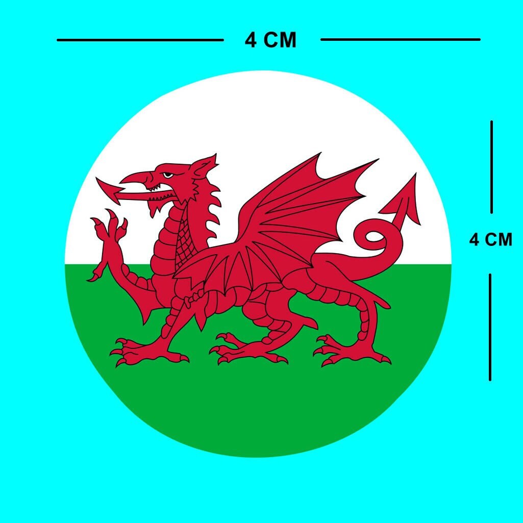 9 X Wales Iron on Transfers for Fabrics welsh dragon flag Cymru Daffodil heart