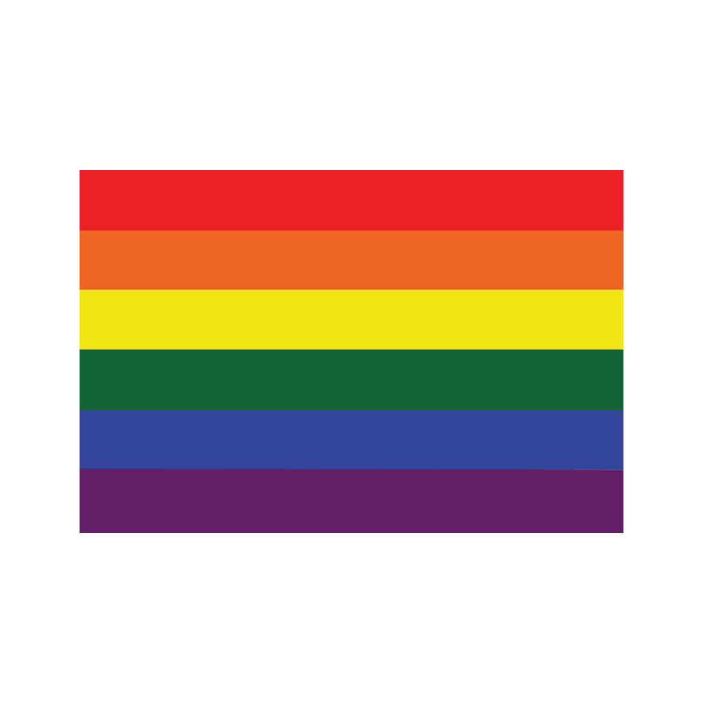Set of 2 LGBT Pride Flag Iron on Screen Print Transfers for Fabrics Machine Washable Gay Pride Flag patch