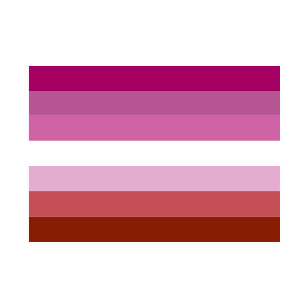 Set of 2 LGBT Pride Flag Iron on Screen Print Transfers for Fabrics Machine Washable Gay lesbian Pride Flag patch