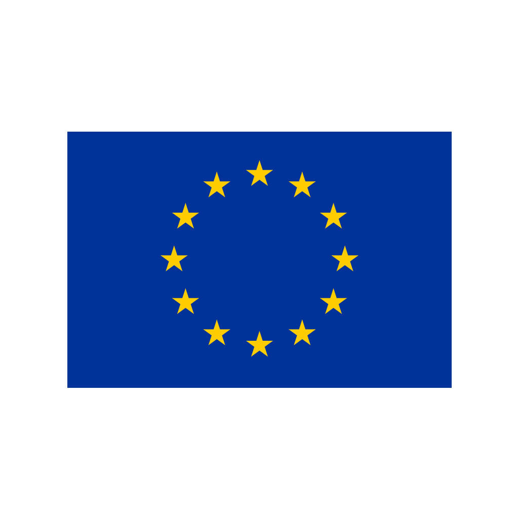 Set of 2 European Flag Iron on Screen Print Transfers for Fabrics Machine Washable Europe EU Flag patch