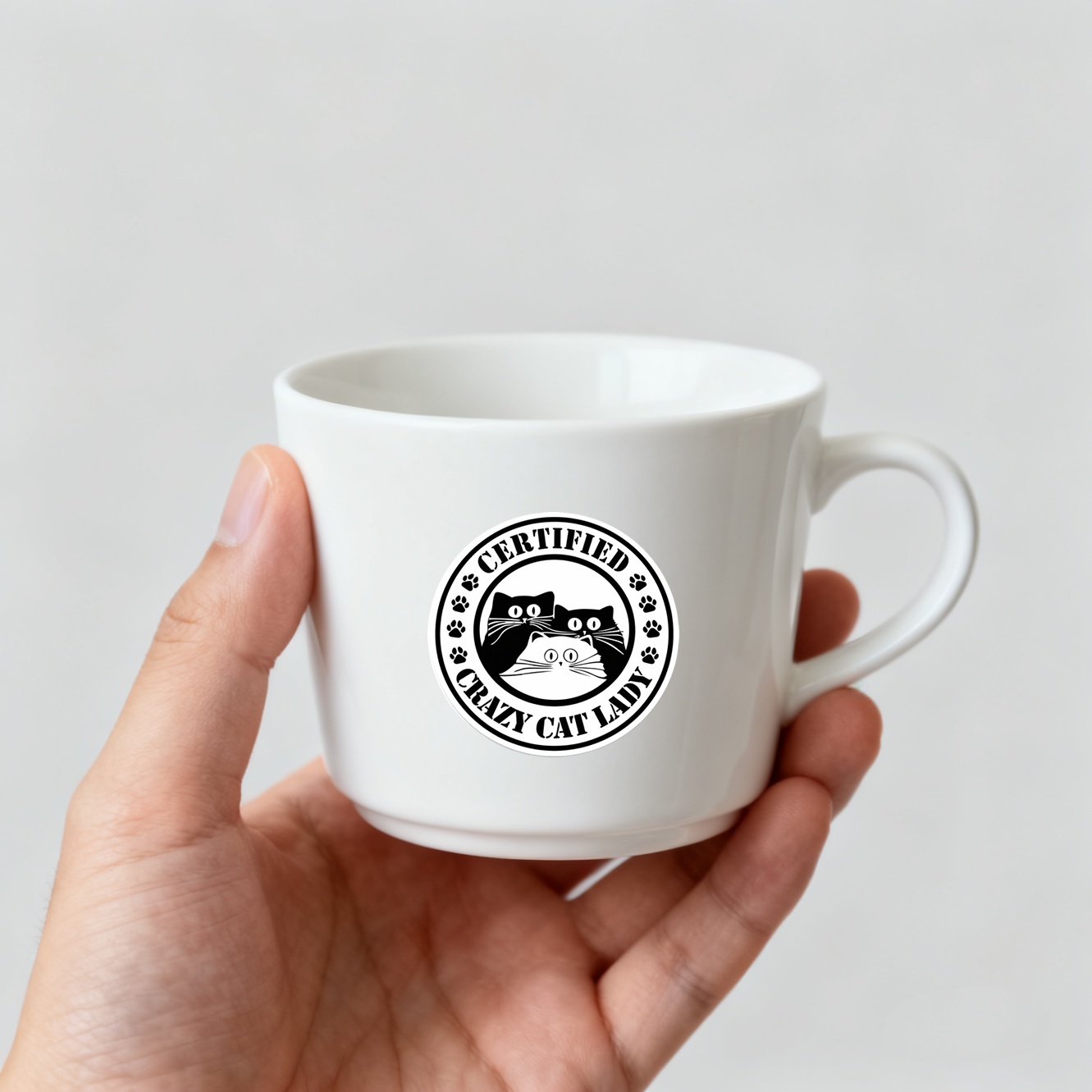 4 PACK Certified Crazy cat lady waterproof Matte vinyl sticker