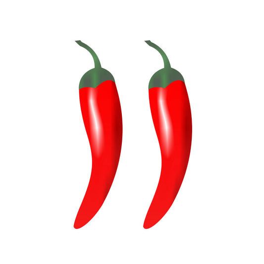 2 X Red Chilly Iron on DIY Screen Print Transfer patch for fabric chilis