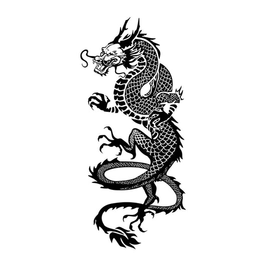 Dragon Iron on DIY Screen Print Transfer patch for fabrics