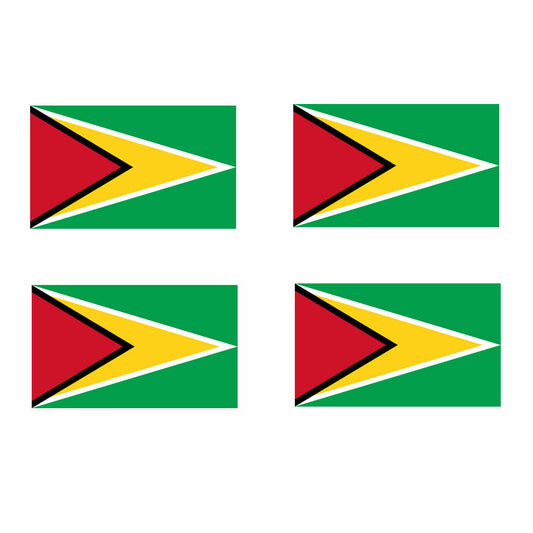 Set of 4 Guyana Flag Iron on Screen Print Transfers for Fabrics Machine Washable