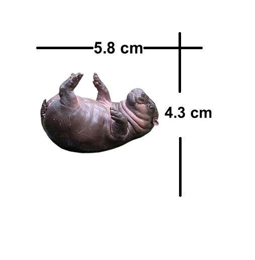 5 Pack Pygmy Hippo Waterproof Matte Vinyl Sticker Paper – Moo Deng Cute Animal Stickers