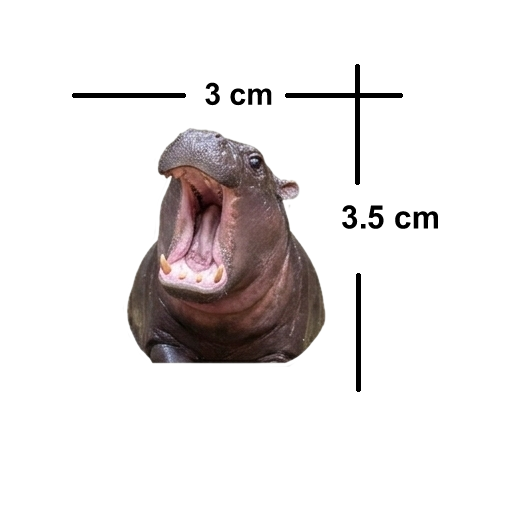 5 Pack Pygmy Hippo Waterproof Matte Vinyl Sticker Paper – Moo Deng Cute Animal Stickers