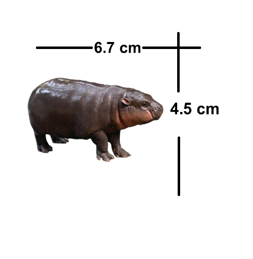 5 Pack Pygmy Hippo Waterproof Matte Vinyl Sticker Paper – Moo Deng Cute Animal Stickers