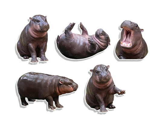 5 Pack Pygmy Hippo Waterproof Matte Vinyl Sticker Paper – Moo Deng Cute Animal Stickers