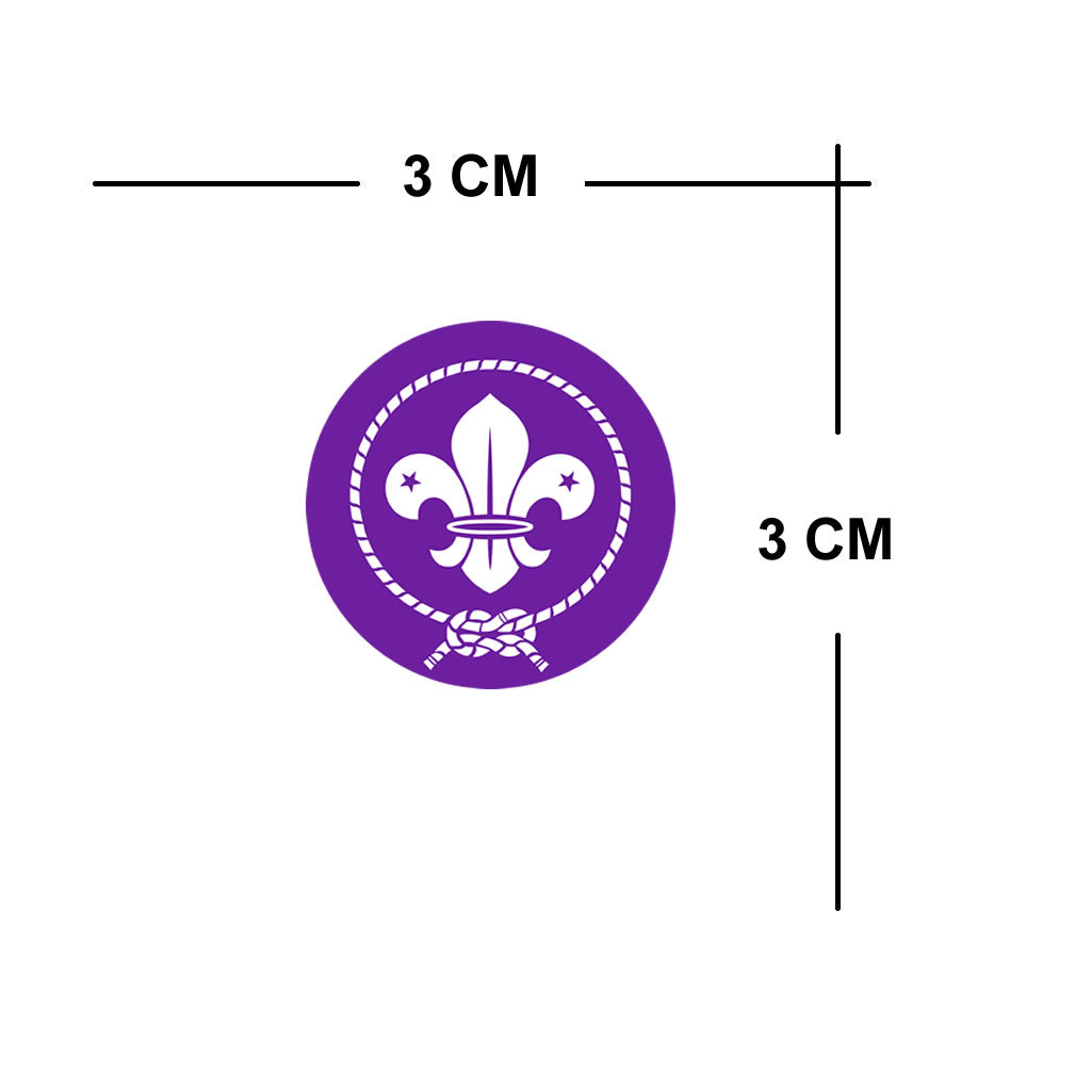 Set of 4 x Scouts Iron on Screen Print transfer for fabrics Scout patch badge