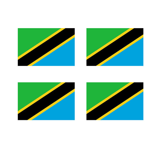 Set of 4 x Tanzania Flag Iron on Screen Print for fabric Machine Washable Transfer Tanzanian Flag