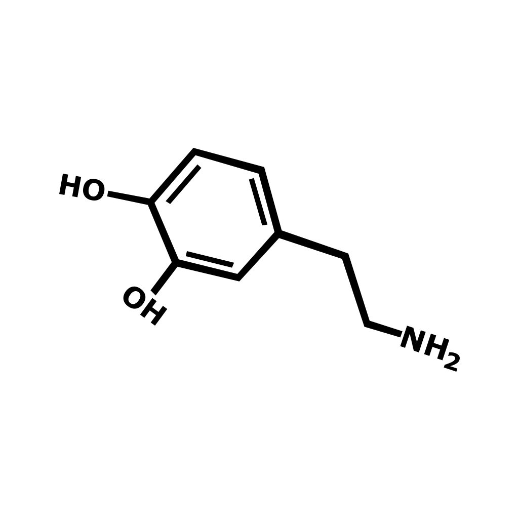 2 x Dopamine chemical Symbol Temporary Tattoo love pleasure motivation