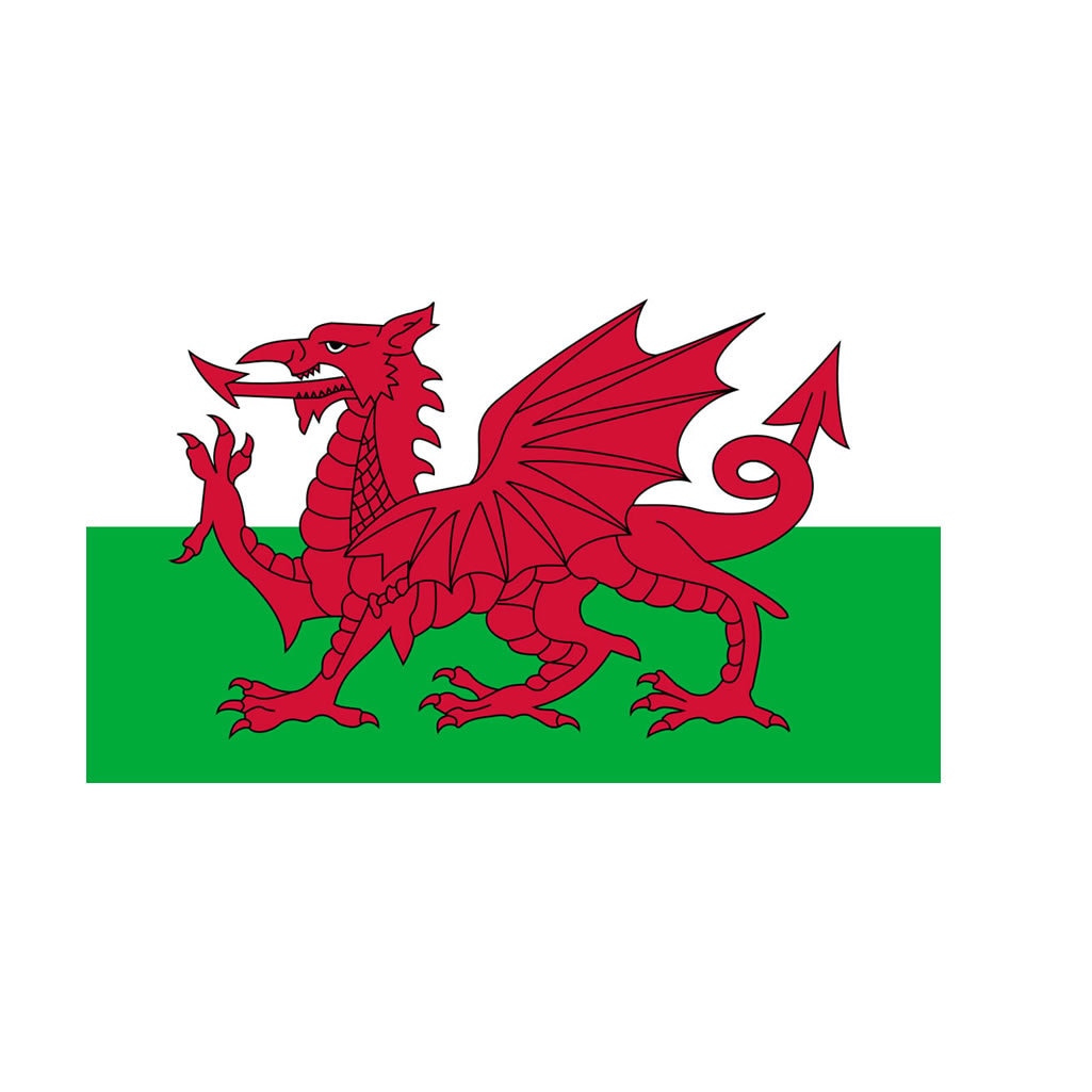 2 x Welsh Flag Iron on Screen Print Transfers for Fabrics Machine Washable Wales Flag patch