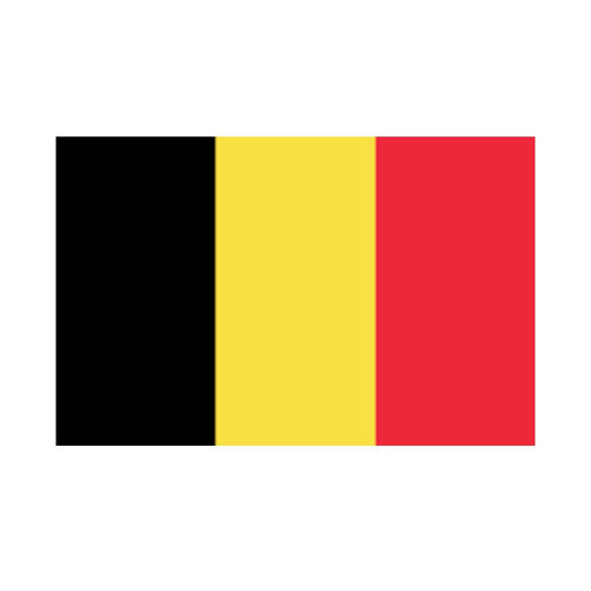 Set of 2 Belgium Flag Iron on Screen Print Transfers for Fabrics Machine Washable Belgian Flag patch